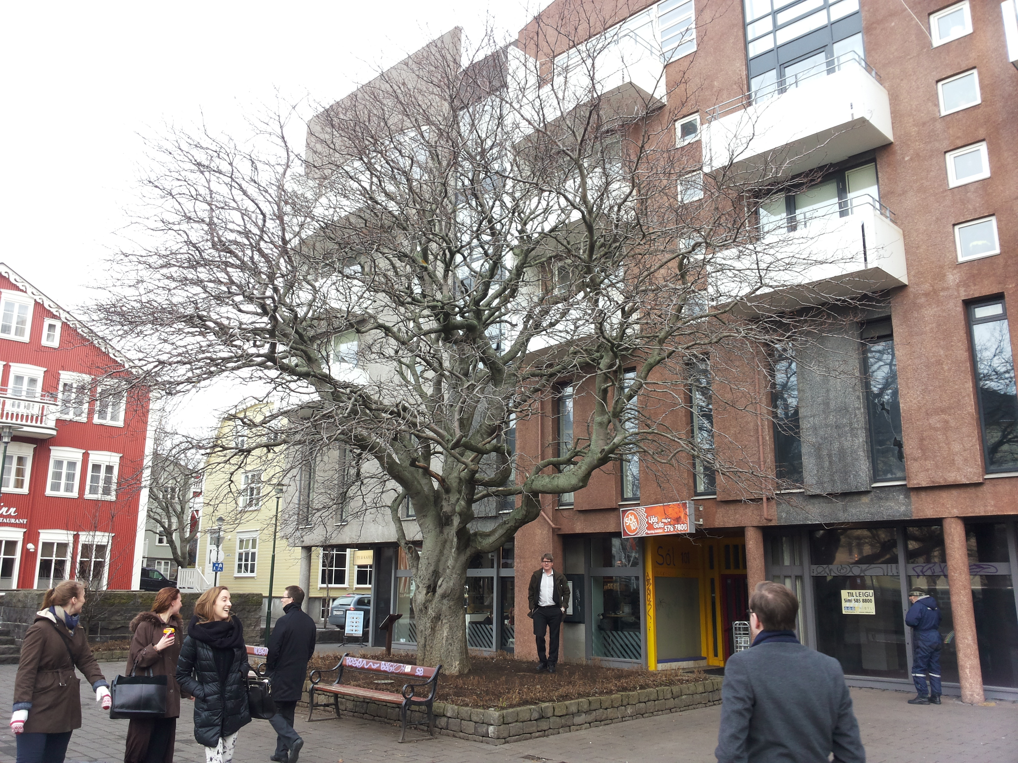 Schierbeck 110314.jpg